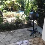 Krk Pepina * Pinezići